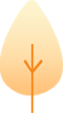 樹(shù)木
