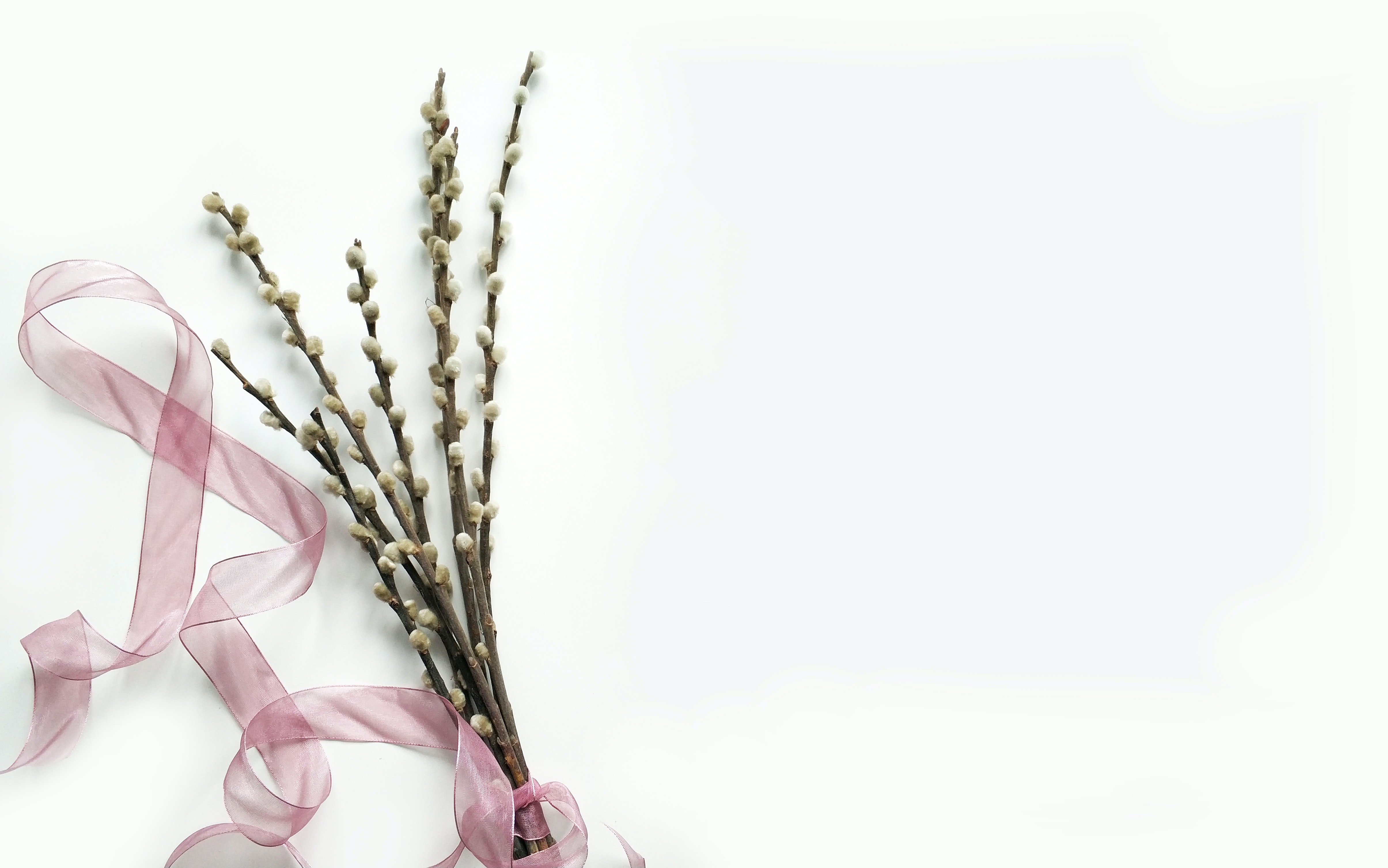 PDF怎么添加圖形標(biāo)注