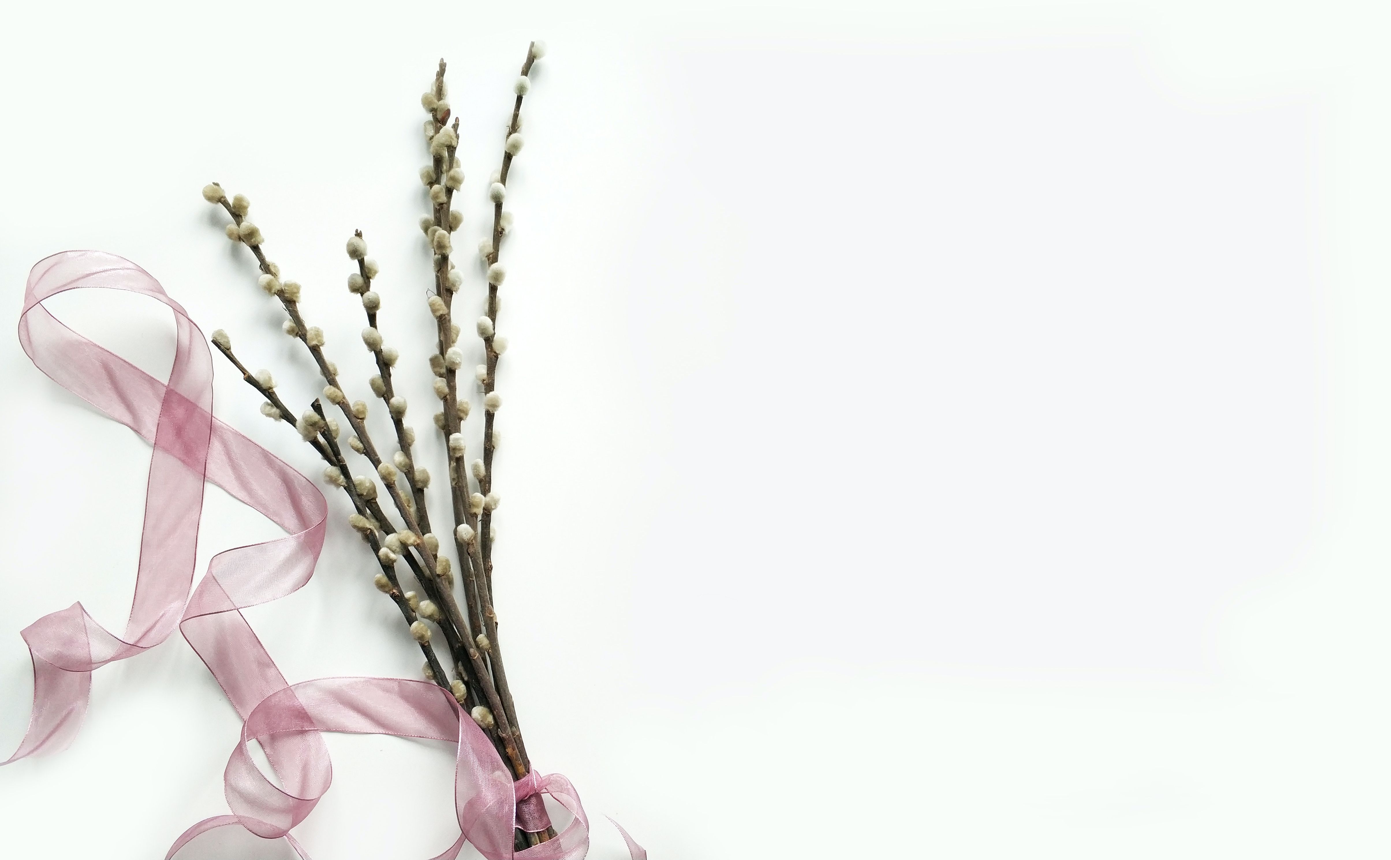 pdf在線(xiàn)轉(zhuǎn)換免費(fèi)軟件哪里找