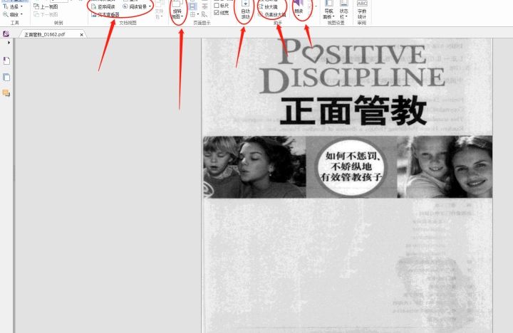 PDF文件進(jìn)行多頁(yè)瀏覽