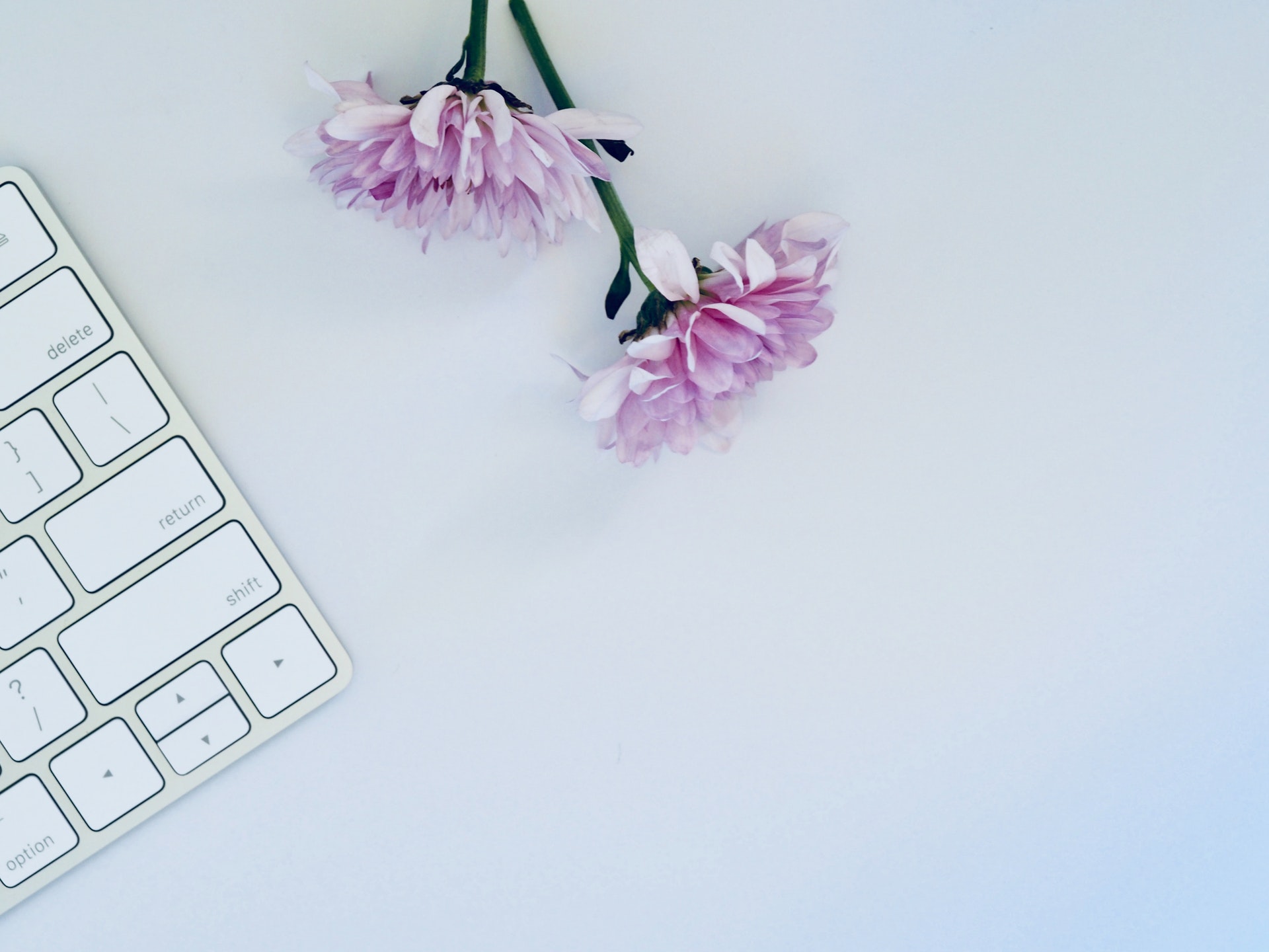 讓PDF不能被修改,要怎么操作?一分鐘學會PDF權(quán)限設置