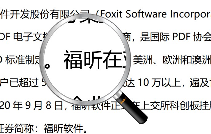 想要查看PDF文檔細節(jié)?這個放大鏡功能你肯定需要!